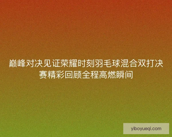 巅峰对决见证荣耀时刻羽毛球混合双打决赛精彩回顾全程高燃瞬间